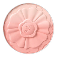 01 apricot daisy