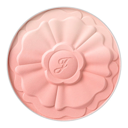 01 apricot daisy