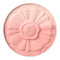 01 apricot daisy
