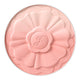01 apricot daisy