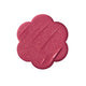 19 anemone dazzle