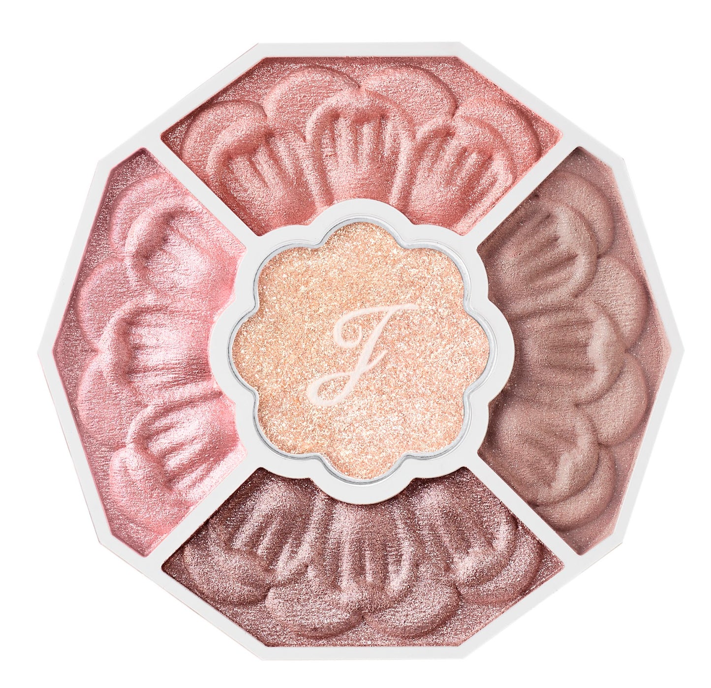01 cymbidium cameo