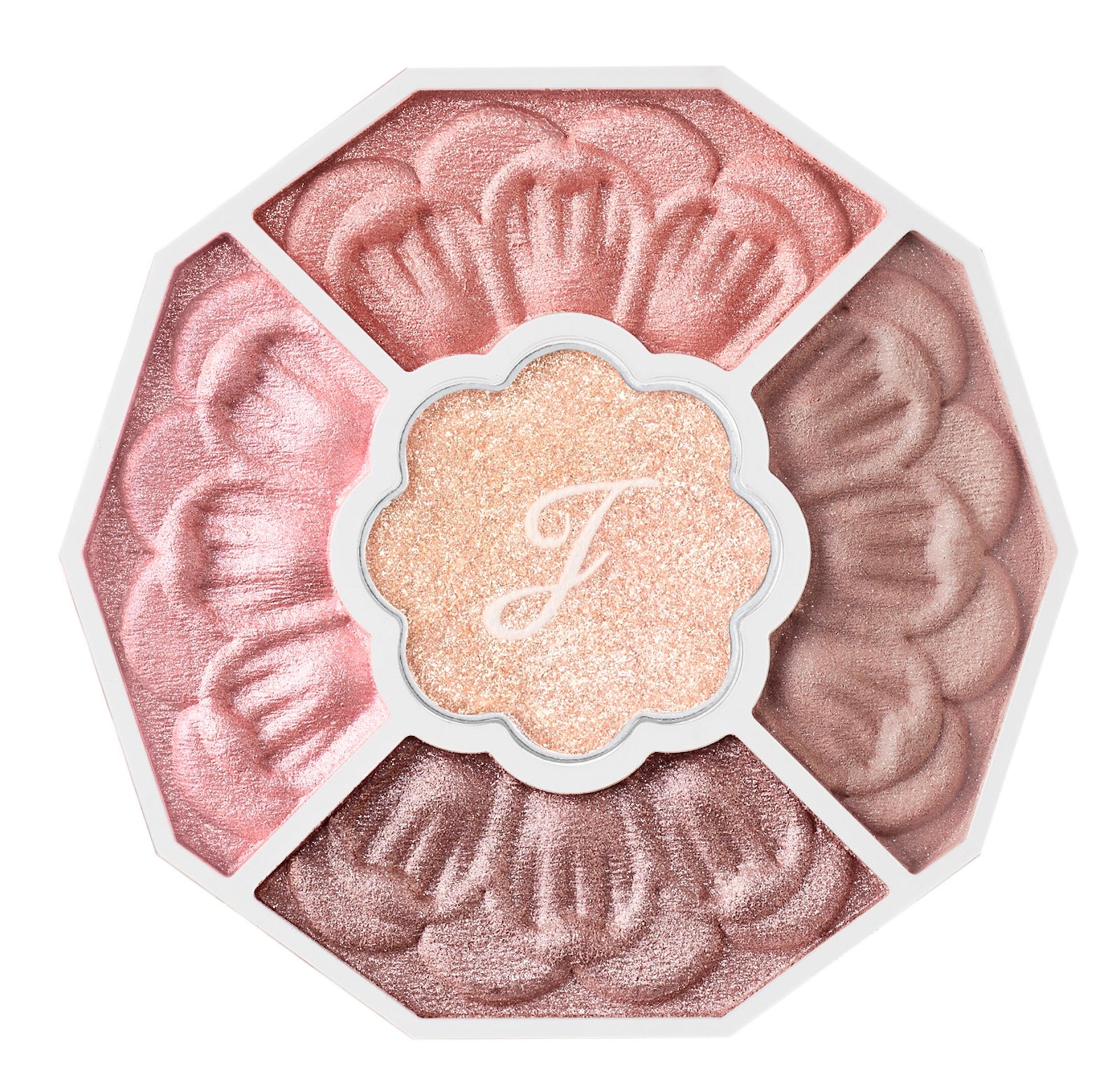 01 cymbidium cameo