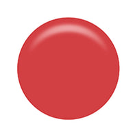 RD301 アリュールメント