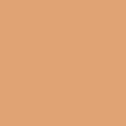 スキンリフレクト ラスティング ＵＶ クッションファンデーション＜レフィル・パフ付＞-005 Rose Beige