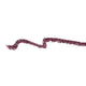 010 Bloody Berry