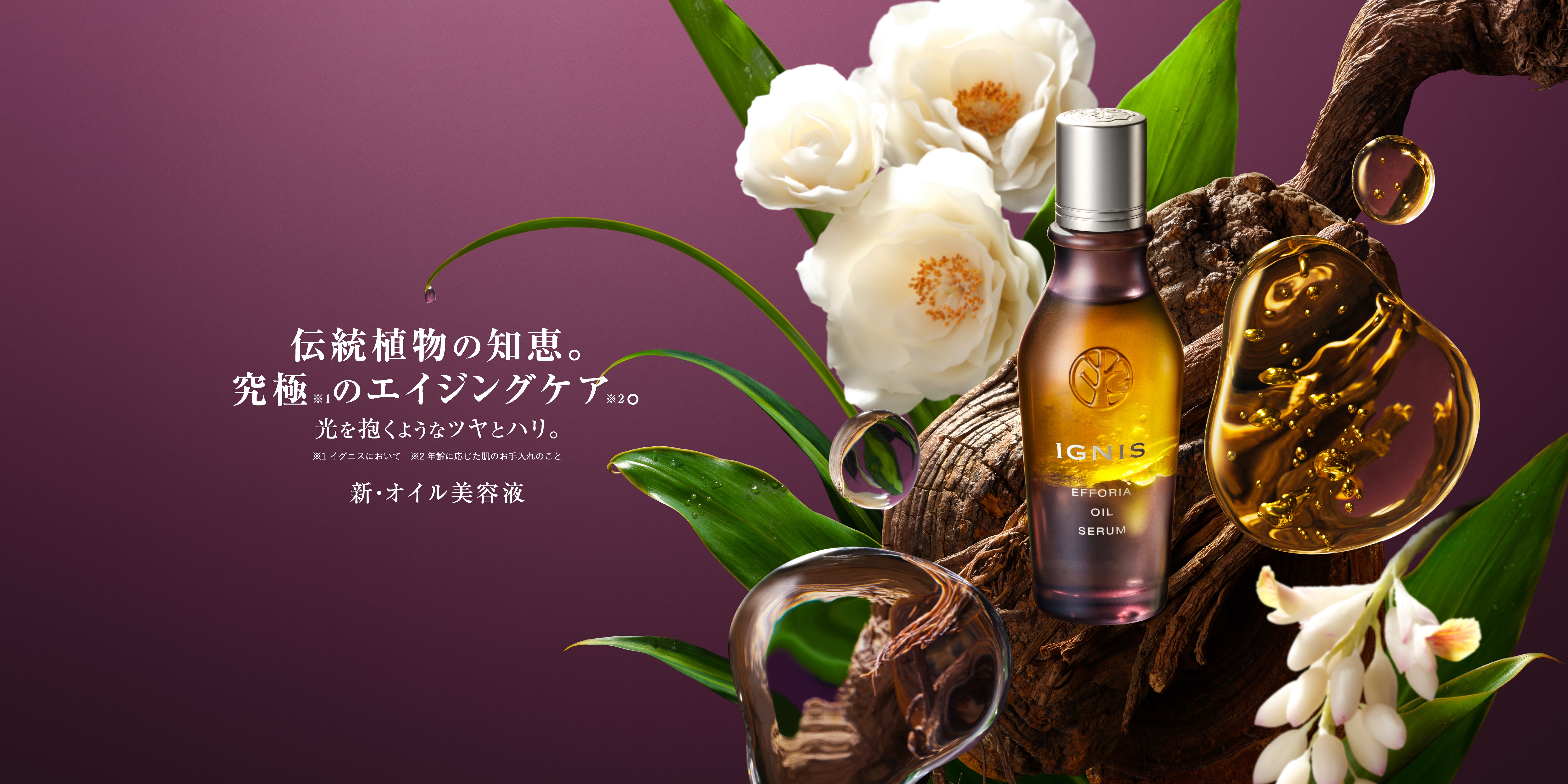 IGNIS – KIRECA オンラインストア