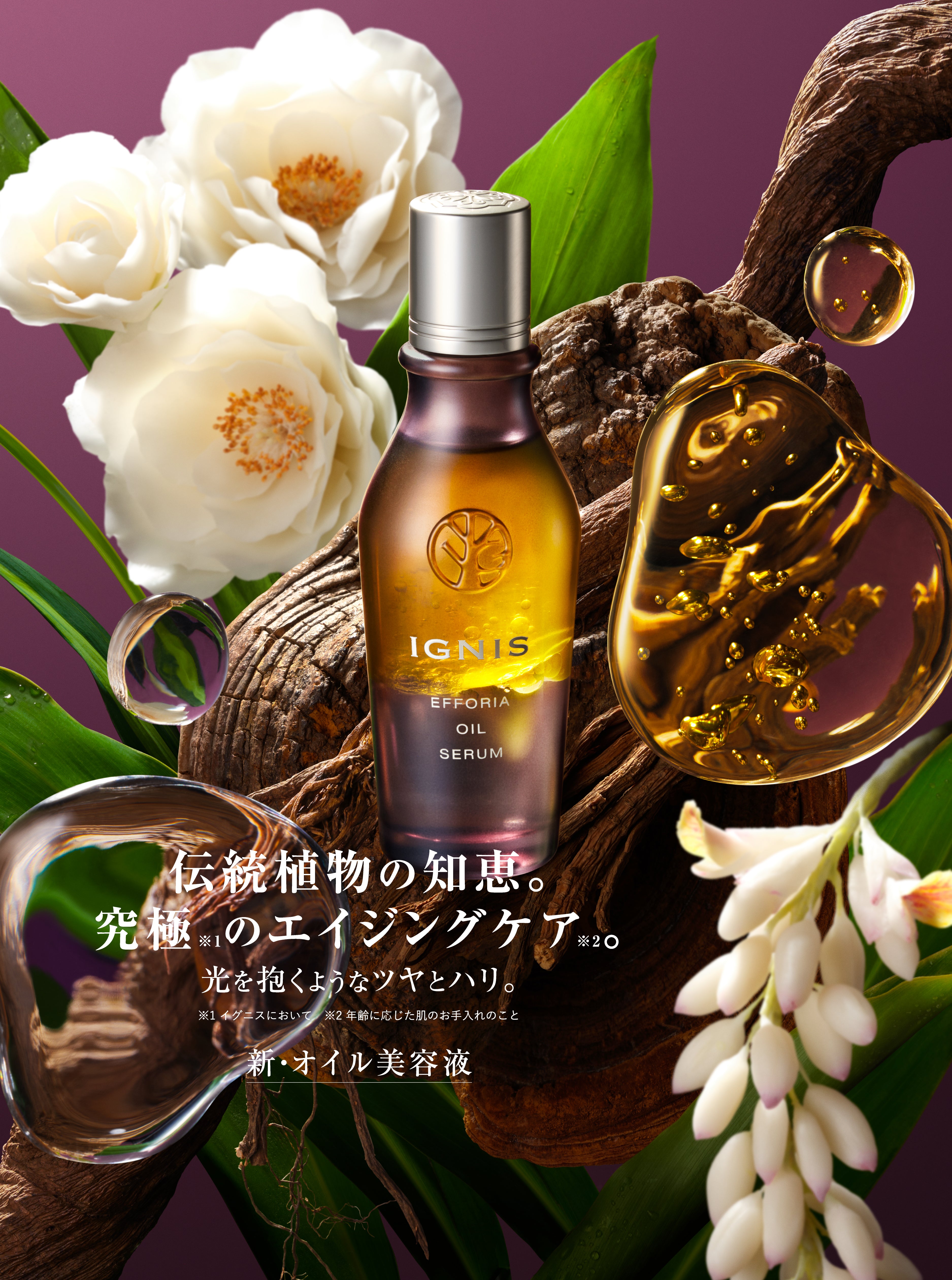 IGNIS – KIRECA オンラインストア