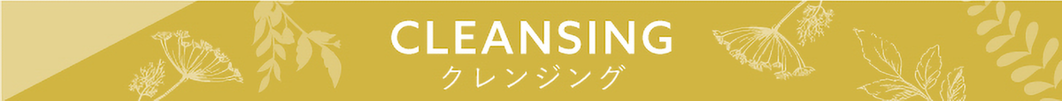 IGNISクレンジング