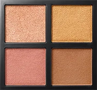 010 Apricot Addict
